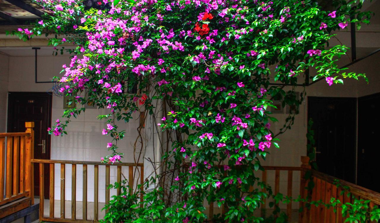 Dali Lao Shay Youth Hostel Dış mekan fotoğraf
